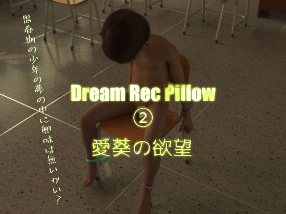 DreamRecPillow2愛葵の欲望