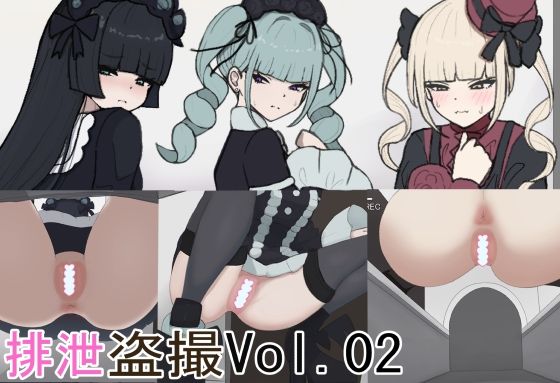 排泄盗撮Vol.02