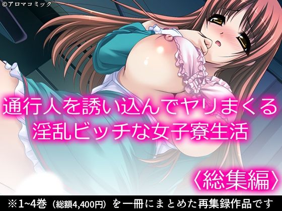 通行人を誘い込んでヤリまくる淫乱ビッチな女子寮生活 <総集編>