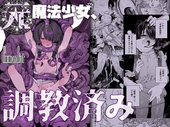 元魔法少女、調教済み